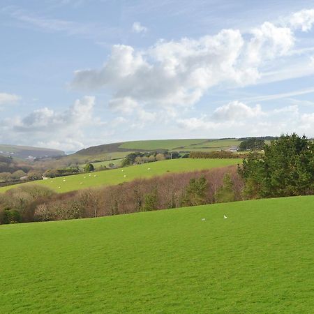 Merlin View St Mawgan Екстер'єр фото
