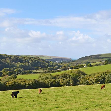 Merlin View St Mawgan Екстер'єр фото