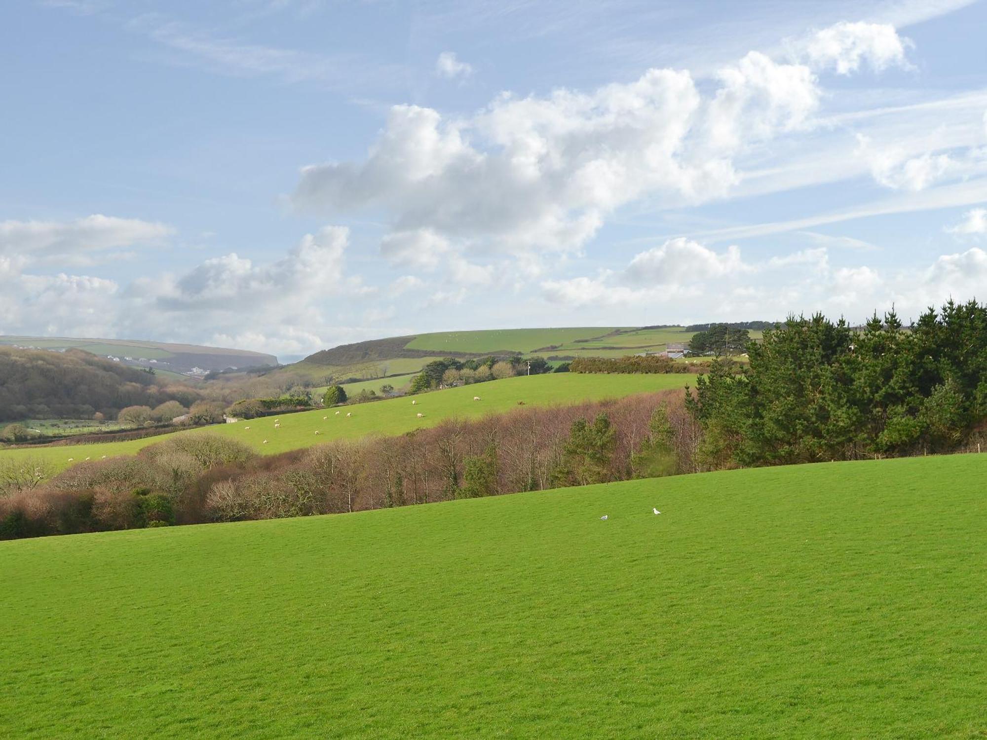 Merlin View St Mawgan Екстер'єр фото